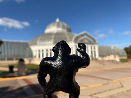 Richard Chin/The Minnesota Star Tribune/TNS