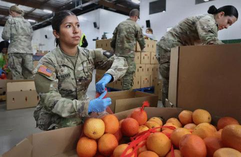 Allen J. Schaben/Los Angeles Times/TNS