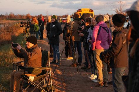 Anthony Souffle/The Minnesota Star Tribune/TNS