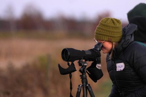 Anthony Souffle/The Minnesota Star Tribune/TNS