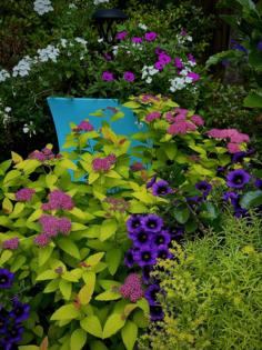 Norman Winter/Norman Winter/TNS