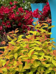 Norman Winter/Norman Winter/TNS