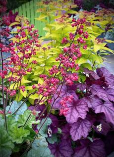 Norman Winter/Norman Winter/TNS