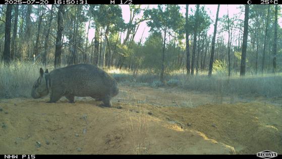 Queensland’s Department of the Environment, Tourism, Science and Innovation/TNS