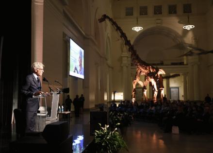 Talia Sprague/Chicago Tribune/TNS