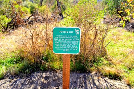 Dreamstime/Dreamstime/TNS