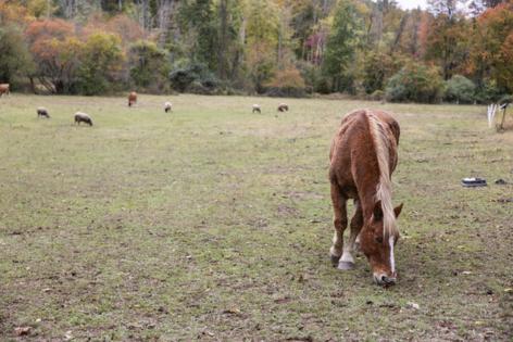 Tyger Williams/The Philadelphia Inquirer/TNS