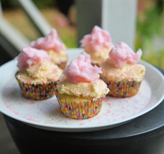 Gretchen McKay/Post-Gazette/Pittsburgh Post-Gazette/TNS