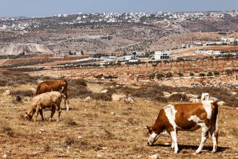 Zain Jaafar/AFP/Getty Images North America/TNS