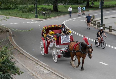 Barry Williams/New York Daily News/TNS