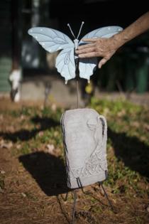 Leila Navidi/Minnesota Star Tribune/TNS