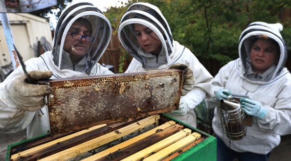 Kent Porter/The Press Democrat/TNS