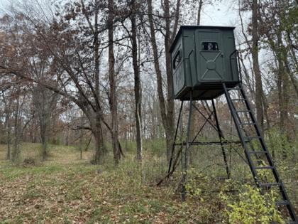 Zoë Jackson/The Minnesota Star Tribune/TNS