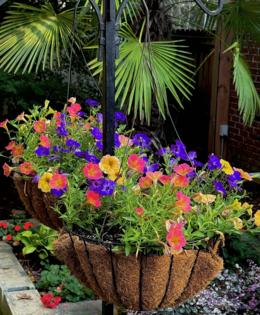 Norman Winter/Norman Winter/TNS