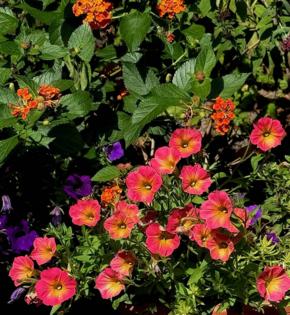 Norman Winter/Norman Winter/TNS