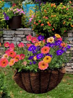 Norman Winter/Norman Winter/TNS