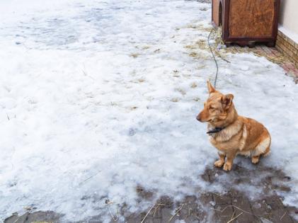 Kateryna Mashkevych/Dreamstime/TNS