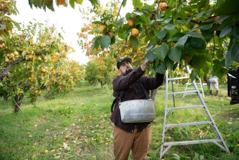 Anne Chadwick Williams/KFF Health News/TNS