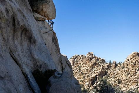 Allen J. Schaben/Los Angeles Times/TNS