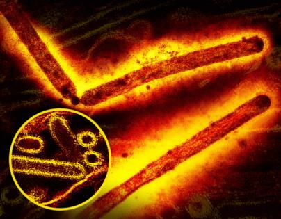 Imago/Imago via ZUMA Press/TNS