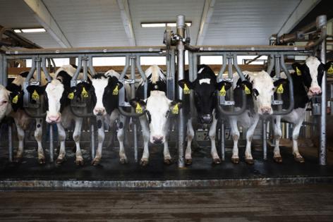 Michael M. Santiago/Getty Images North America/TNS