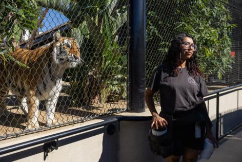 Juliana Yamada/Los Angeles Times/TNS