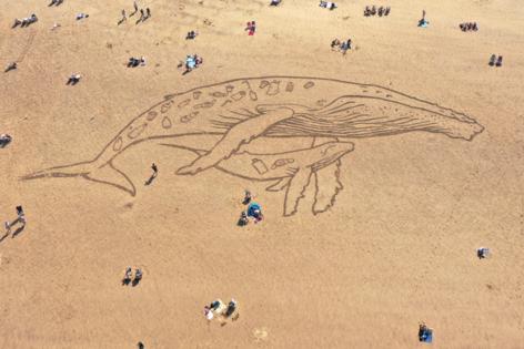 Christopher Furlong/Getty Images Europe/TNS