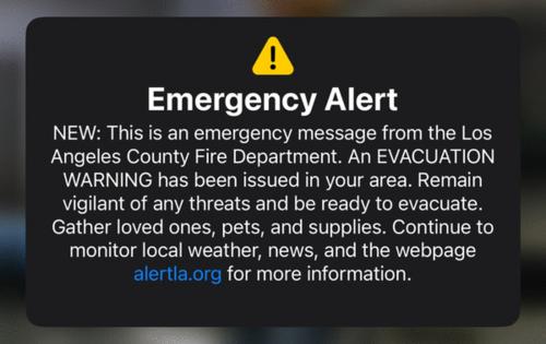 Denise Bennett/TNS/TNS