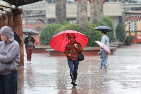 Allen J. Schaben/Los Angeles Times/TNS