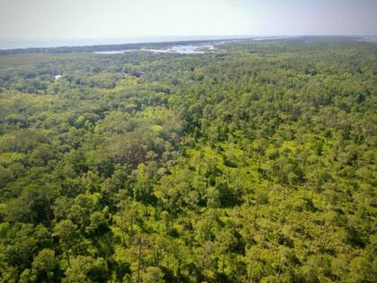 Max Chesnes/Tampa Bay Times/TNS