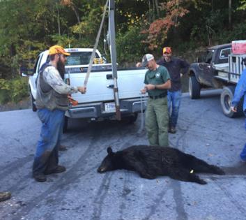 Sammy Fretwell/The State/TNS