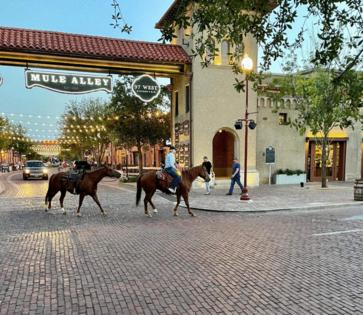 Matt Leclercq/Fort Worth Star-Telegram/TNS