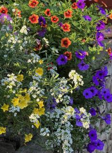 Norman Winter/Norman Winter/TNS