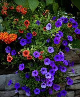 Norman Winter/Norman Winter/TNS