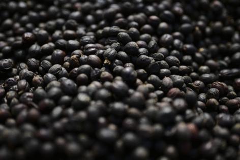 Pablo Porciuncula/AFP/Getty Images North America/TNS