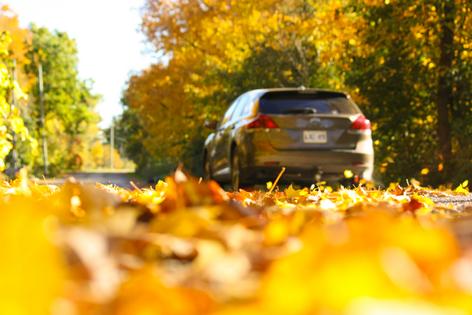 Thanksgiving family travel. Dreamstime/TCA