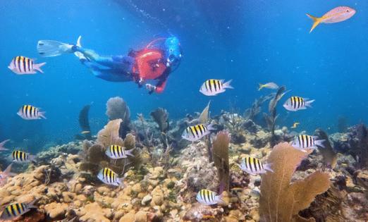 Frazier Nivens/Florida Keys News Bureau/AFP/Getty Images North America/TNS