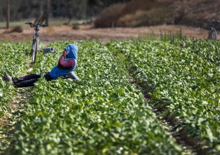 Allen J. Schaben/Los Angeles Times/TNS