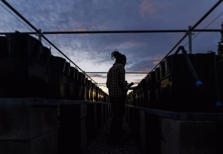 Gina Ferazzi/Los Angles Times/TNS