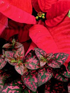 Norman Winter/Norman Winter/TNS