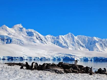 Kathy Witt/Kathy Witt/TNS