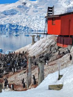 Kathy Witt/Kathy Witt/TNS