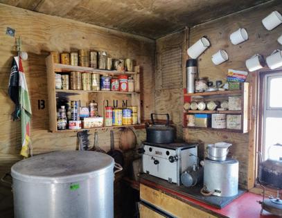 Kathy Witt/Kathy Witt/TNS