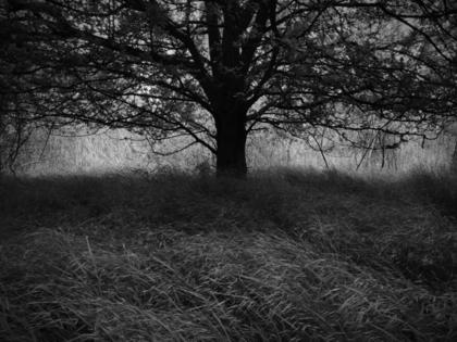 Dreamstime/Dreamstime/TNS