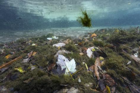 Douglas R. Clifford/Tampa Bay Times/TNS