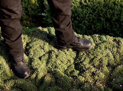 Genaro Molina/Los Angeles Times/TNS