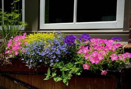 Handout/Norman Winter/TNS