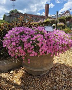 Handout/Norman Winter/TNS