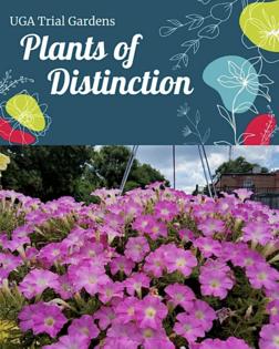 Handout/Norman Winter/TNS