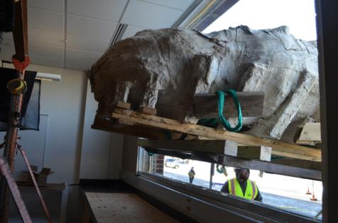 Trey Mewes/The Minnesota Star Tribune/TNS